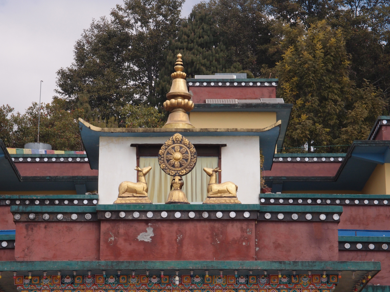 2018-01-16 12 Uhr - Im Shivapuri Nagarjun National Park (Nagi Gumba) (Foto) 